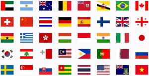 ibGenius IB Business Management countries flags
